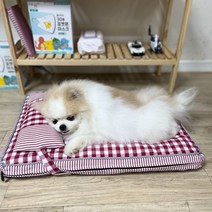 강아지 고양이 커버분리 방석 쿠션, 베개+체크레드