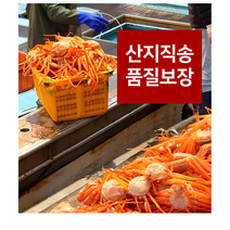 대게찜 포항 죽도시장 구룡포 붉은대게 홍게 제철 당일조업 산지직송 자숙 육수용 프리미엄, (가성비) 육수용 3kg (10~13마리)