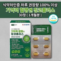 두뇌 뇌 기억력 저하 감퇴 예방 향상 개선 기억 장애 좋아지는 법 뇌에 좋은 심 뇌 혈관 질환 손발 저림 증상 혈액 순환 정맥 순환제 개선제 건강 식품 영양제 징코 플러스 30정, 1개