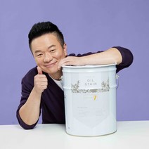 [마이칼라페인트] 방부목 데크오일 프리미엄 오일스테인 20L, 청바다색