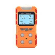 일산화탄소 경보기 가스누수탐지 캠핑 가스 경보 산업용 멀티 감지기 CO H2S O2 EX 화재 방지 분석기 센서 보안 알람 인간의 음성 프롬프트, [02] Gas Alarm Yellow, 02 Gas Alarm Yellow