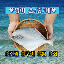 병어회 신안 손질 병어 250g~510g( 소중대횟감용 ) 조림 찜 구이용, 중 1미(350g-380g)