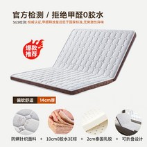 B야자섬유 10cm패드+라텍스 2cm패드 2단 접이식 매트리스 단단한 갈색 하드 매트, I. type 9_단일상품