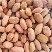 알땅콩 500g 국산, 생알땅콩500g, 1개