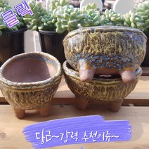 (찐다육) MS- 030 타원형 혼합색 화분(3개묶음세트) 예쁜 다육화분