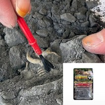 공룡화석 발굴키트 1p 화석캐기 발굴하기 장난감