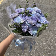 [코코 플라워] 오로라 대국 국화 생화택배 꽃배달싼곳 한단