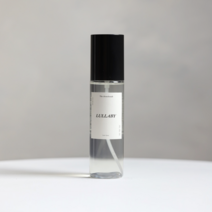 더슈슈아 페브릭 린 넨 스프레이 100ml, 오렌지설레던그순간