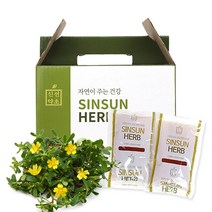 신선약초 쇠비름즙 110mlx30포