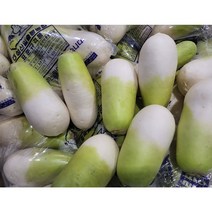 <도도> 싱싱한 제주 무 5kg 10kg 18kg#품질보증#, 20kg(8수 특대)” class=”wr-img”></a></div>
</p></div>
</p></div>
</p></div>
<div class=