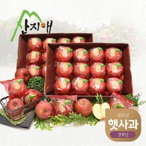 [산지애] 씻어나온 2023년 햇사과 6kg (3kg x 2박스), 단품