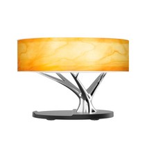 무선충전기 블루투스 스피커 야간등 다기능 휴대폰 오디오 침대 LED 단스탠드, T02-업스타일 광운 스탠드, C02-3W 유럽 규약 애널플러그