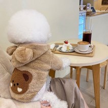 강아지 옷장 옷걸이 행거 가을 겨울 애완견 옷 따뜻한 리틀 베어 후드 플러시 고양이 개 자켓 패션 코기