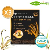 내추럴에너지 웰핏 자연속 하루효소 43종 곡물 발효 효소 유산균 3g, 3) 3개월분