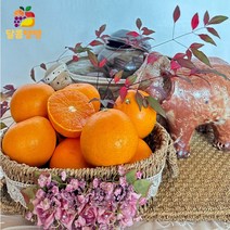제주 고당도 천혜향 3kg 5kg 10kg 실속형 가정용 제철 귤로장생 산지직송, 천혜향 실속형 5kg (20 ~ 30과)