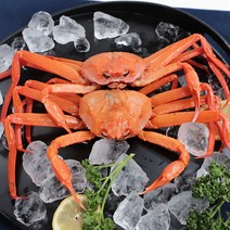 산지직송 제철 홍게 대게 박달 자숙 붉은 포항 구룡포 자숙홍게 750g 1.5kg 5마리, 03_ 육수용 홍게 10마리