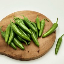 국내산 모닝고추 아삭이고추 오이맛고추 (특) 1kg 3kg 5kg 10kg [노블프레쉬], 모닝고추(특) 10kg