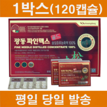 고함량 솔잎증류농축액 광동 파인맥스 골드 120정(1박스) 혈관청소 건강기능식품, 120캡슐(1세트)