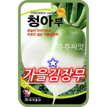 김장 청아무 씨앗 가을 무 무우 종자 radish seed 소포장 대용량, 30g