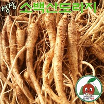 청정 영주소백산도라지 흙/세척/깐도라지 산지직송, 1개, 약도라지(흙)특상품_1kg