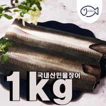 국내산 손질민물장어1kg 소스 생강채(정직한은성수산), 단품