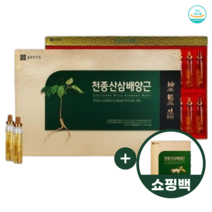 종근당건강 천종산삼배양근 20ml x 30병, 600ml, 12박스