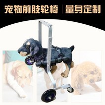 강아지휠체어 앞다리 2륜 재활훈련보조기 보행기 맞춤형, 앞다리 휠체어 미니[맞춤형]