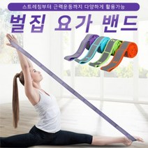 파는곳 벌집 요가 밴드 운동 필라테스 스트레칭 기구 근력 어린이 성인 사용 법 용 품 추천, 올핑크