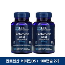 판토텐산 칼슘 비타민B5 500mg 베지 캡슐