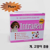 신나라-닷컴_인트라젠 플러스(plus+) 스틱 (2gx30p) 강아지종합영양제 고양이유산균 애견 개영양제 견용 완용 치와와 장건강 소형_ tlsskfk, 이상품찜!, S-N-선택사항없습니다, S-N-선택사항없습니다