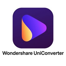 Wondershare UniConverter 윈도우용 기업용 라이선스, 단품