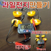 과일전지만들기 디지털시계 실험키트 과학실험만들기, 단품