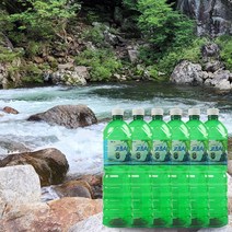 뼈에좋은 하동 고로쇠수액 고로쇠물 골리수물 1.5L 6병 12병 고로쇠약수, 1.5리터 6병