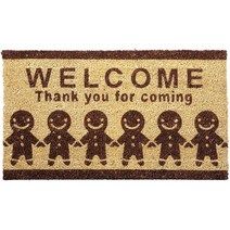 일본직발송 4. 오오하시 신지상점 코이어 매트 직사각형 비스킷 17 -015 브라운 70×40×1.5cm B005J8PI78, 비스킷_One Color, One Color