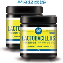 모유유산균 분말 락토바실러스 LGG유산균 19종 혼합유산균 프리바이오틱스 장까지 살아가는 코팅 유산균 3개월분, 1개, 2개, 200g