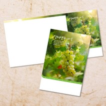 교회주보 예배 주보용지 3단6면 주보지 안내지 전도지 절기 부활절 추수감사 맥추감사 성탄절 신년감사 디자인 기독교용품, EW-36