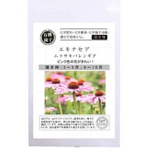 서플리먼트 グリーンフィールドプロジェクト 그린필드 프로젝트 에키나세아 무라사키 발렌기크 A551 화이, One Size, One Color