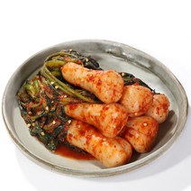 [김치박사] 전라도 김치 총각김치 파김치 백김치 갓김치 (1종 선택상품), 전라도 알타리 총각김치, 3kg