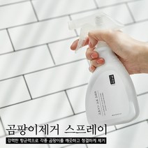 청소신 곰팡이 퇴치 스프레이, 1개, 300ml