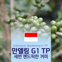 인도네시아 만델링 G1 TP 생두 1kg Mandheling 세웅지씨, 1개