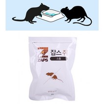 천장에 쥐박멸 화장실 창고 사무실 천정 쥐 잡기 두더쥐 약 잡는법 없애는방법 퇴치