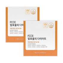 피토틱스 팍시 다이어트 발효율피 다이어트 60정 + 사은품티 1pc, 사은품 티 1pc, 2박스