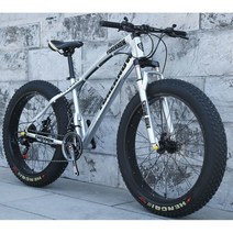 산악 MTB 자전거 광폭타이어 팻바이크 30단 자출용 자전거, 24단(공구포함), 24인치, 실버