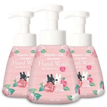 [무궁화]세니타손 항균 버블 핸드워시(진저라임향) 리필 250ml x 4개, 단품