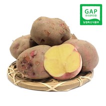 속노란 하동 자색유황감자 (왕특) 1.8kg 외 / 홍감자 2022년 가을수확 감자, 1박스, (왕특) 2.7kg