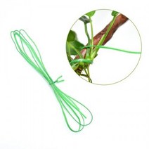 [헬로아쿠아]나나 미크로소리움 볼비티스 활착용 코팅철사 1M, 단일속성