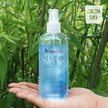 프레시데이 깔끔한 짠맛 신안 프리미엄 이온화 물죽염, 1병, 300ml