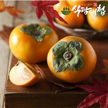 식탐대첩 국내산 단감 3kg (상특품 13~18과), 단품