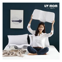 [리브맘] 프리미엄 3D 경추베개 메모리폼베개, 전체색:매쉬베이지