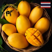 태국산 프리미엄 코끼리 골드망고 선물세트포장 태국열대과일 생망고 생골드망고 gold Mango, 보자기포장, 1박스, 2.5kg 7과수내외